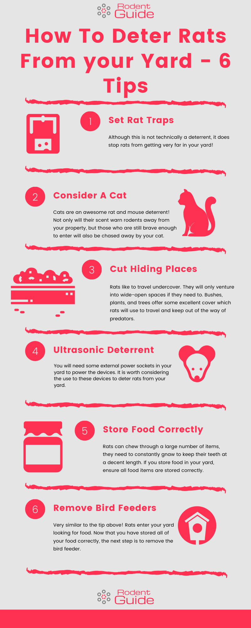 deter rats from your yard infographic