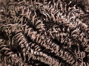can rats chew through steel wool
