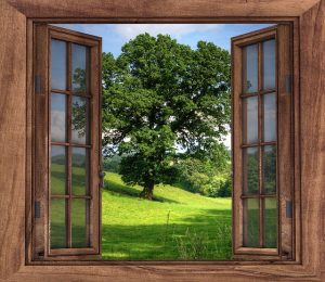 open windows ventilation