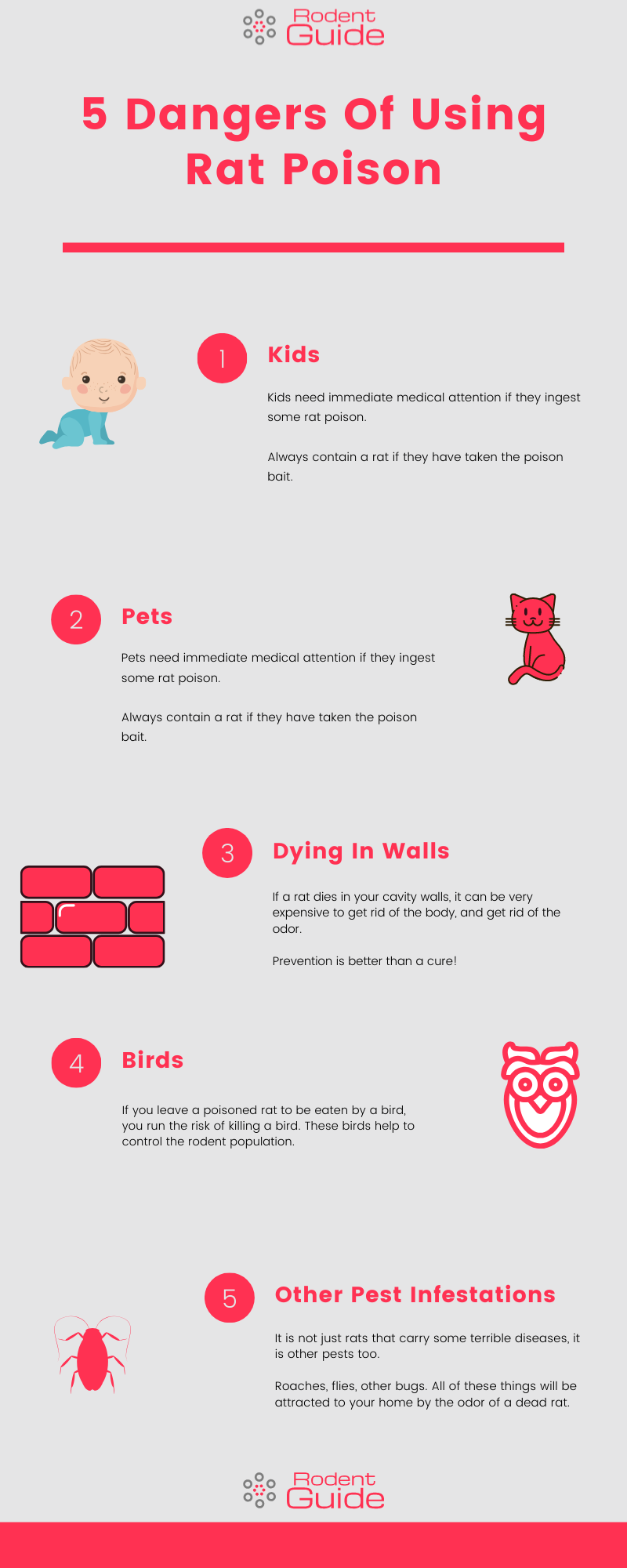 5 Dangers Of Using Rat Poison Infographic