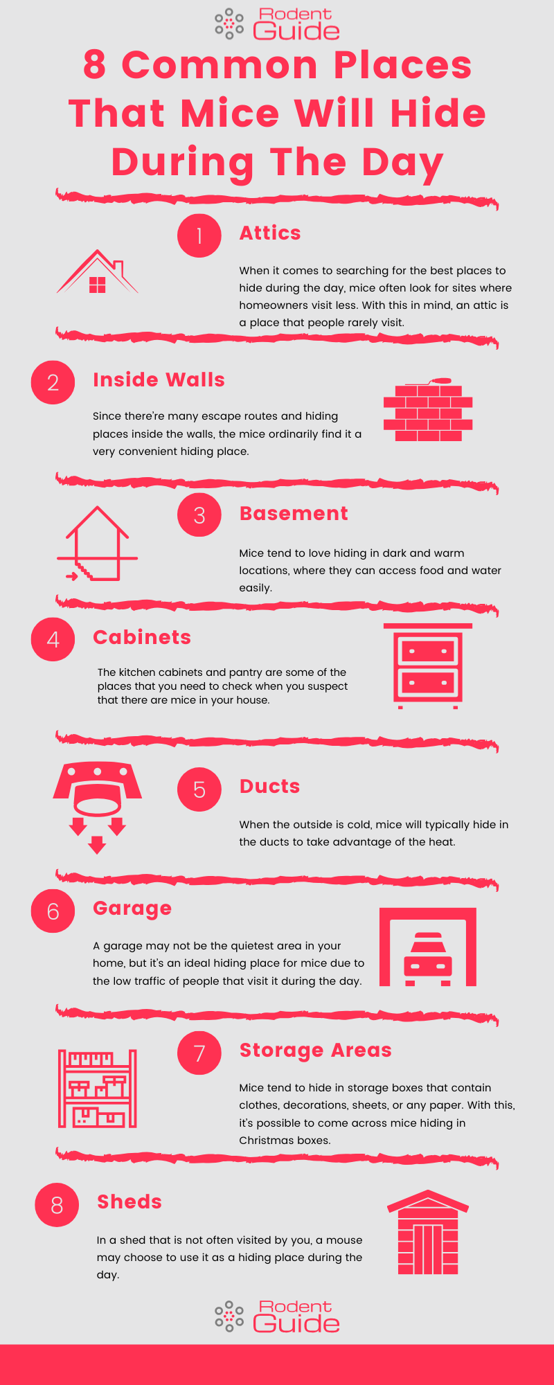 Common Places That Mice Will Hide During The Day Infographic